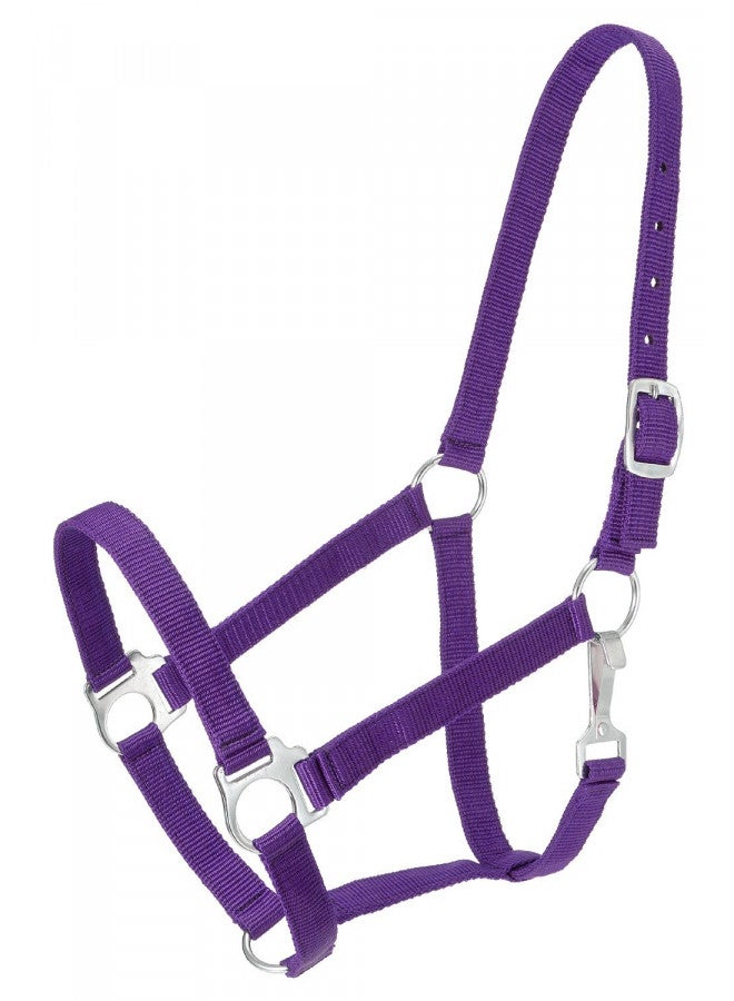 Tough 1 Tough 1 Tough-1 Economy Halter, Purple, Horse 