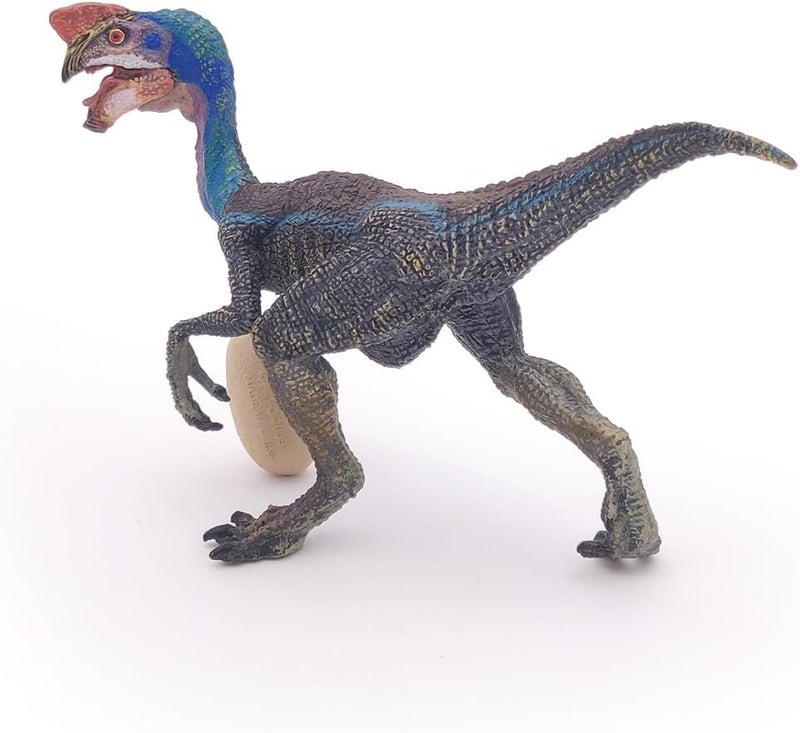 Papo  Blue Oviraptor  Realistic Figurine  for Ages 3  Dinosaurs Collection  Hand Painted  Highly Detailed  Durable and Educational  Gift Idea  Collectable  Dinosaur Figurine - Image 4