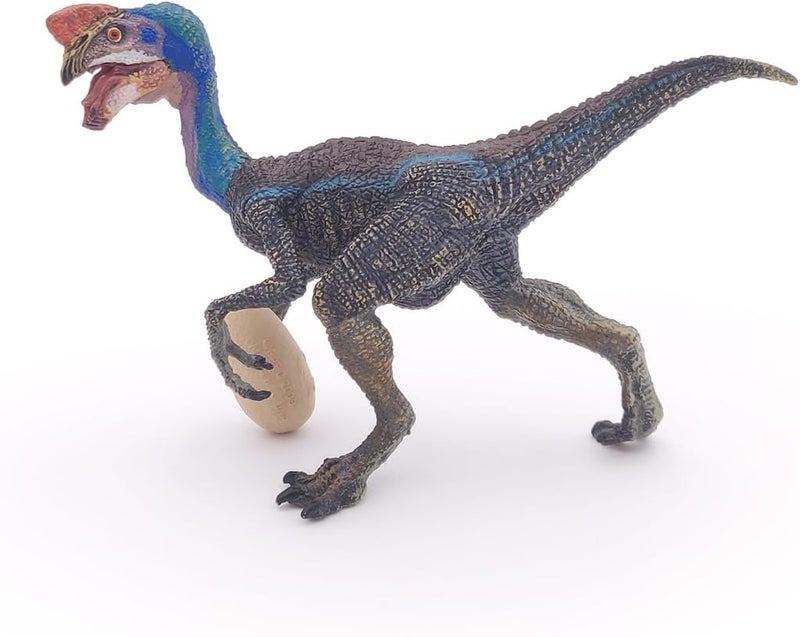 Papo  Blue Oviraptor  Realistic Figurine  for Ages 3  Dinosaurs Collection  Hand Painted  Highly Detailed  Durable and Educational  Gift Idea  Collectable  Dinosaur Figurine - Image 5