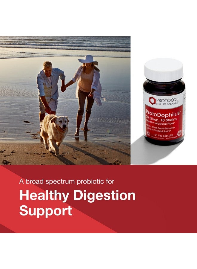 PROTOCOL FOR LIFE BALANCE Proto Dophilus 25 Billion 10 Strains - Support Digestive Gut Health Immune System & Detox - Dairy, Wheat, Soy & Gluten Free - Vegan & Nut Free - 50 Veg Capsules - Image 3