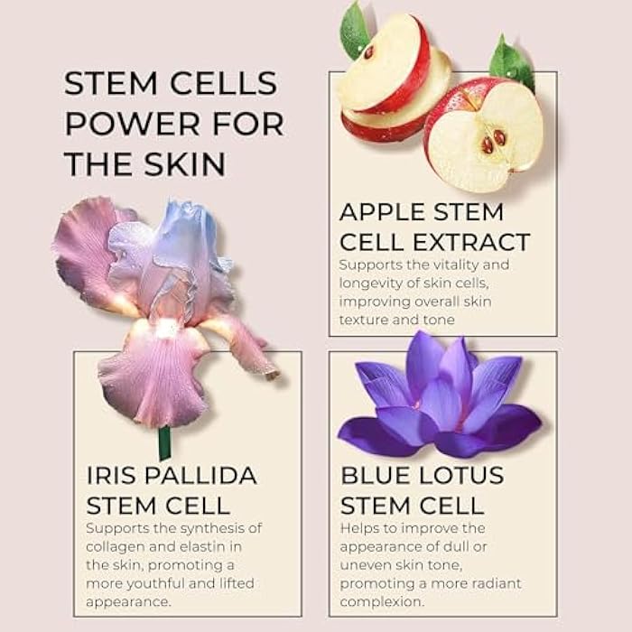 InstaSkincare Collagen Face Moisturizer with Airless Pump - Collagen Botanical Stem Cells Cream for Skin, Niacinamide, Hyaluronic Acid - Anti-Aging Day & Night Face Cream Made in USA - Image 3