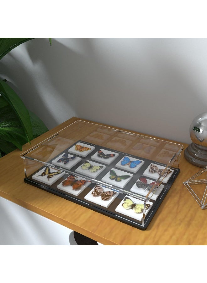 TPGP Book Display Case Clear Book Protector Case  - Image 3