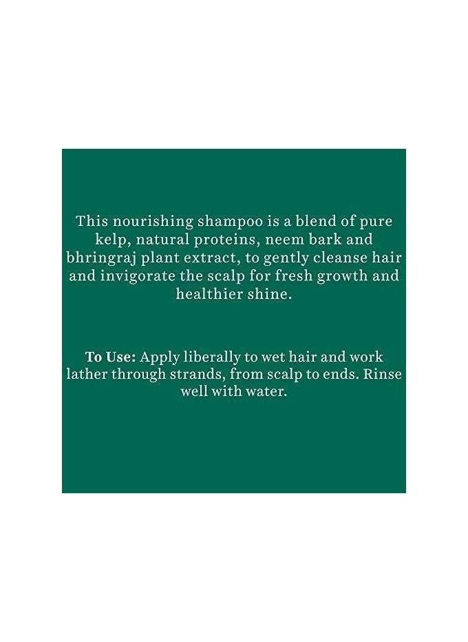 Biotique Ocean Kelp Anti Hairfall Shampoo Growth Therapy Shine 100% Botanical Extracts All Hair Types 190ml  - Image 2