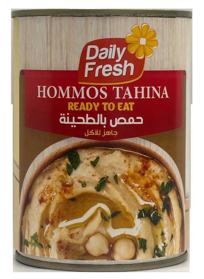 Daily Fresh Hommos Tahineh - Image 1