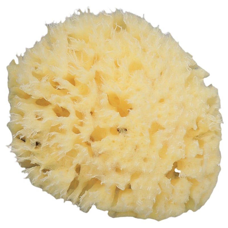 2pcs Household Honeycomb Bath Shower Sponge Bathing Body Exfoliating Bath - Image 2
