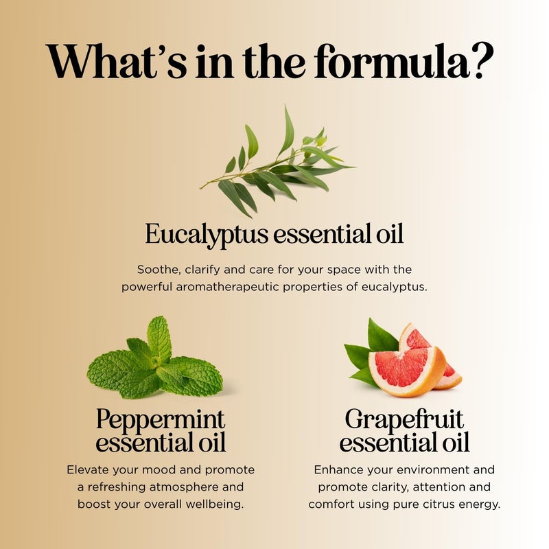 Maple Holistics Focus Essential Oil Blend for Diffusers - Aromatherapy Essential Oils Blend for Home and Travel Energy Focus and Attention Support with Grapefruit Bergamot Peppermint and Eucalyptus (1 Fl Oz) - Image 5