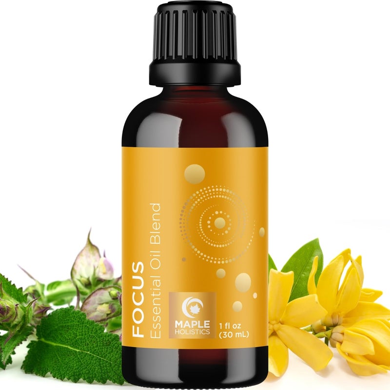 Maple Holistics Focus Essential Oil Blend for Diffusers - Aromatherapy Essential Oils Blend for Home and Travel Energy Focus and Attention Support with Grapefruit Bergamot Peppermint and Eucalyptus (1 Fl Oz) - Image 1