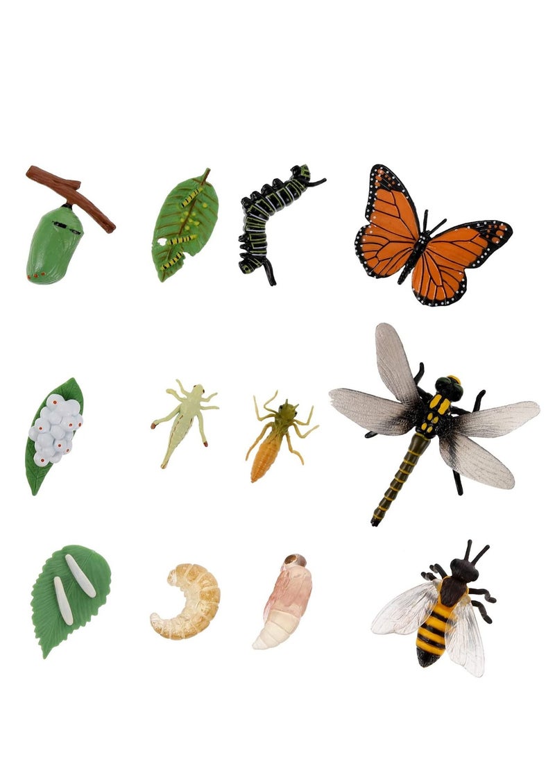 Y&D 12PCS Insect Figurines Life Cycle of a Butterfly Dragonfly Bee, Safariology Growth Model Bug, Figures Educational Toy for Kids Toddlers  - Image 1