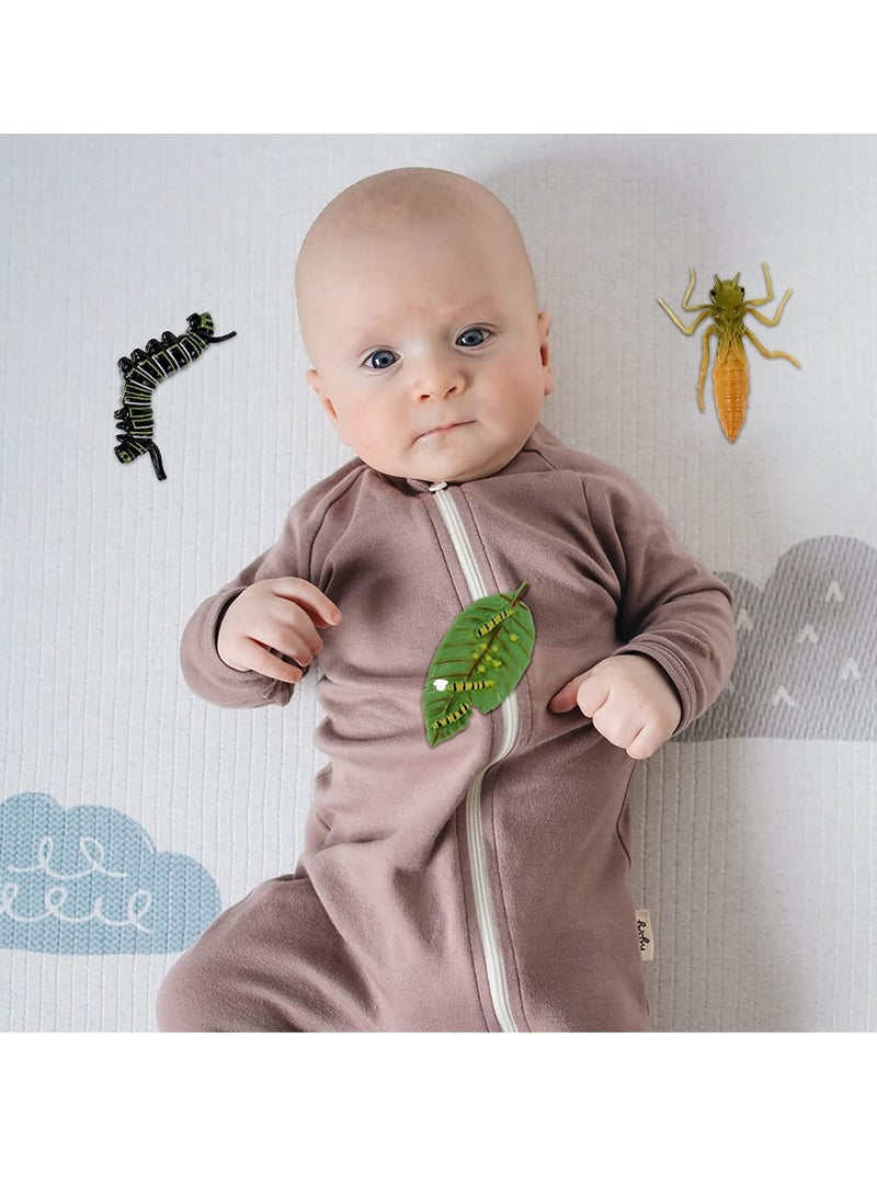 Y&D 12PCS Insect Figurines Life Cycle of a Butterfly Dragonfly Bee, Safariology Growth Model Bug, Figures Educational Toy for Kids Toddlers  - Image 2