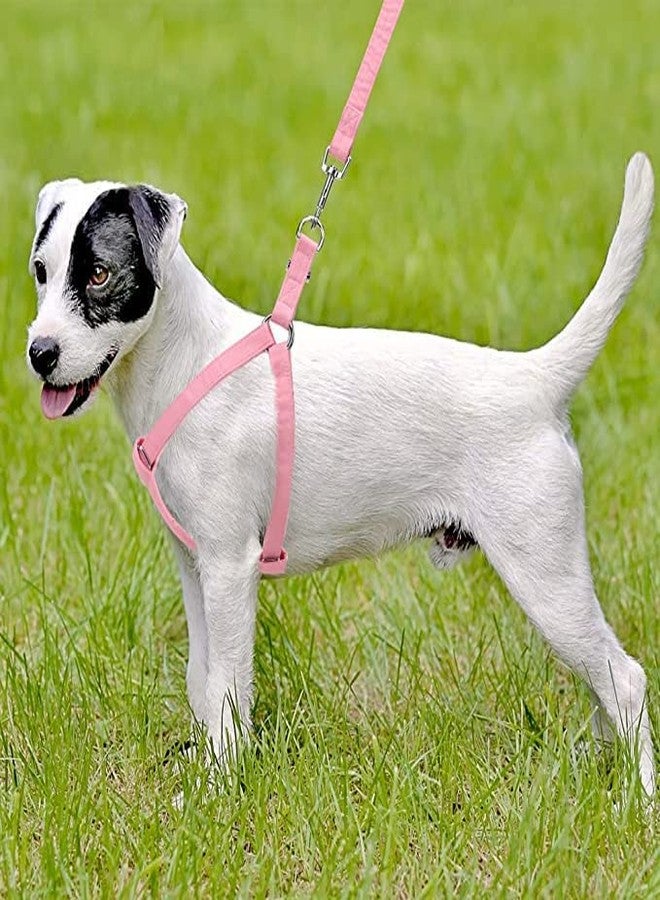 Pups&Pets طقم مقود قابل للتعديل من النايلون مقاس 15 مم مع حزام صدر مقاس 0.5 بوصة من Pups&Pets للكلاب الصغيرة والمتوسطة - وردي - Image 2