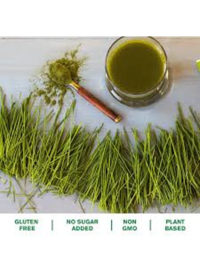 Amazing Grass, Amazing Trio Powder, Barley Grass, Wheat Grass & Alfalfa, 240 g - Image 4