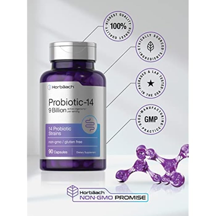 Horbäach Probiotics for Women & Men | 14 Strains for Digestive Health | 9 Billion CFU | 90 Capsules | Non-GMO & Gluten Free Supplement - Image 5