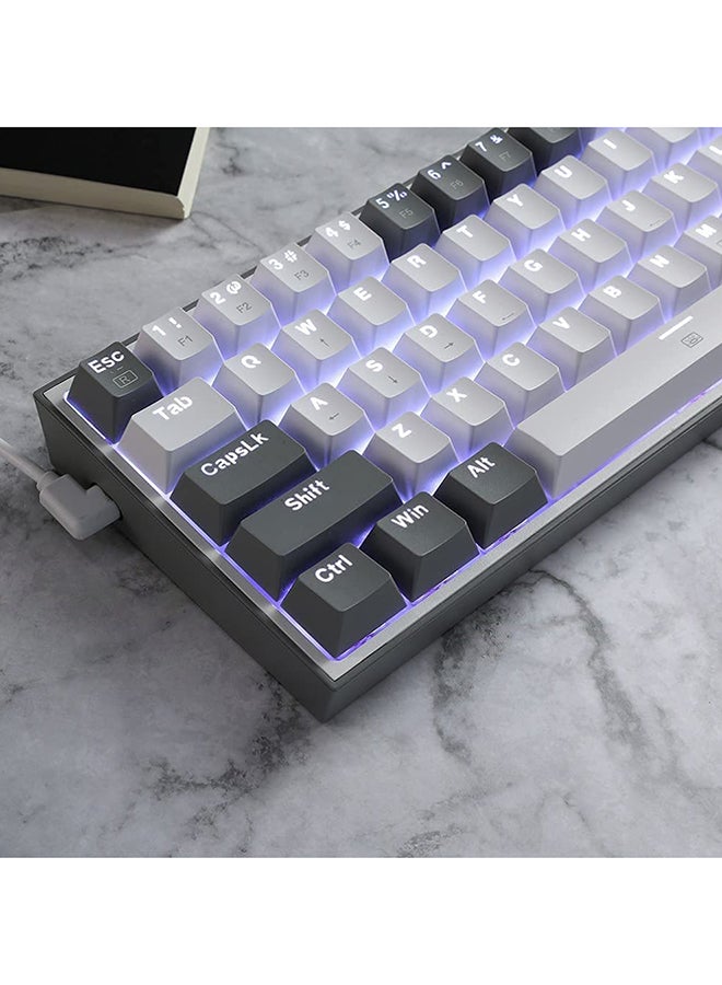 REDRAGON FIZZ RGB WIRED KEYBOARD RED SWITCH 61 KEYS WHITE/GREY K617-RGB WG