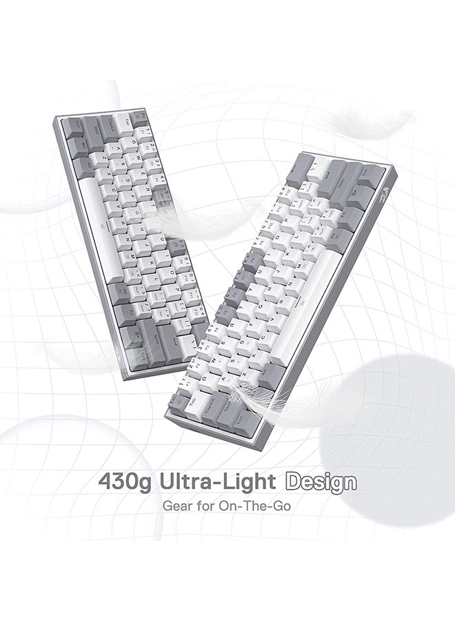 REDRAGON FIZZ RGB WIRED KEYBOARD RED SWITCH 61 KEYS WHITE/GREY K617-RGB WG
