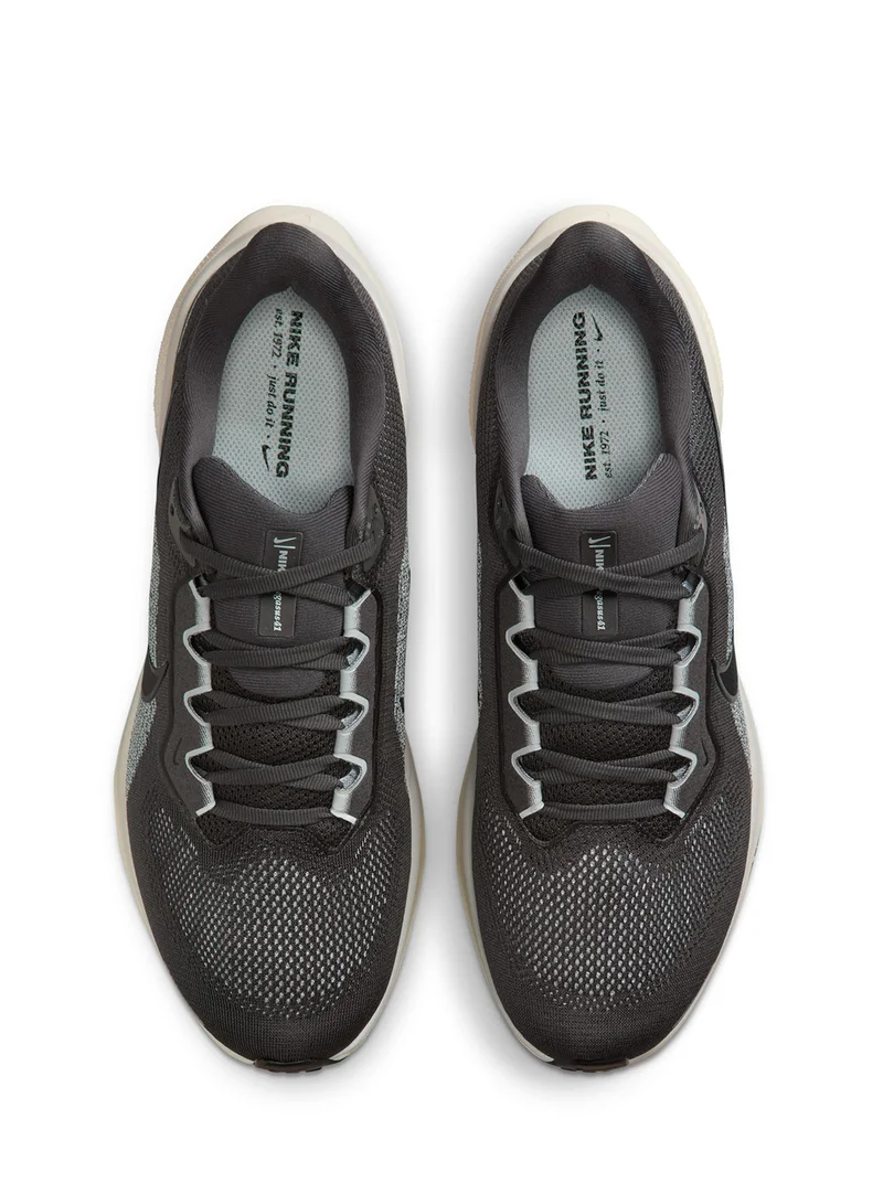 Nike Air Zoom Pegasus 41