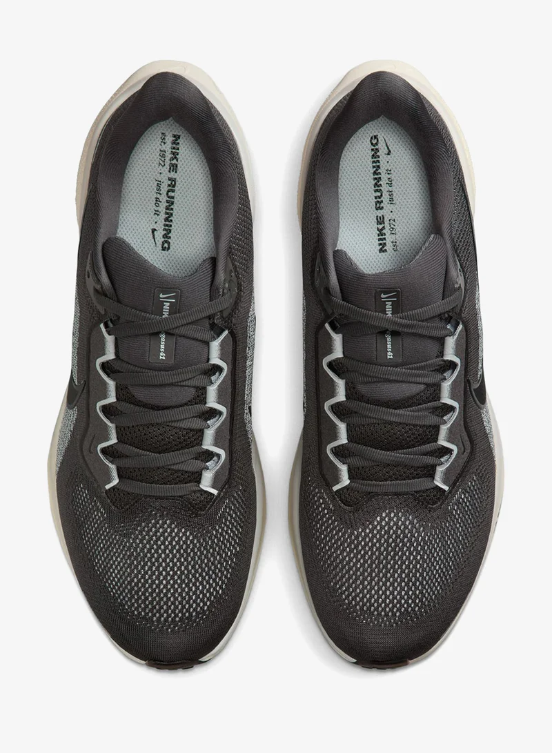 Nike Air Zoom Pegasus 41