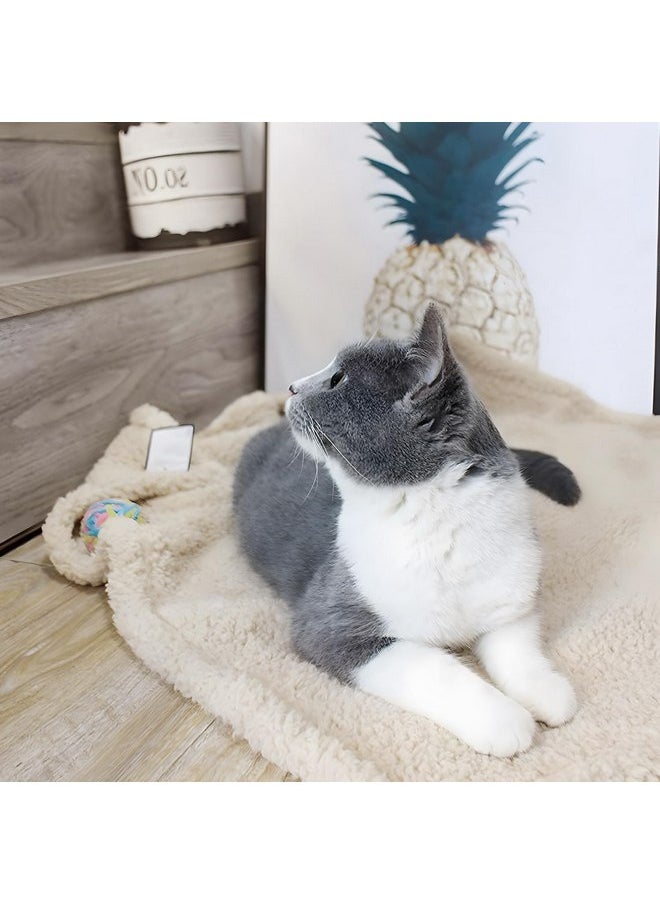 furrybaby furrybaby 1 Pack 2 Puppy Blankets for Medium Dogs Super Soft Premium Sherpa Pet Calming Blankets for Cat Bed Couch Car and Indoor Washable Fleece Dog Blankets(32"x40", Beige&Beige)  - Image 3