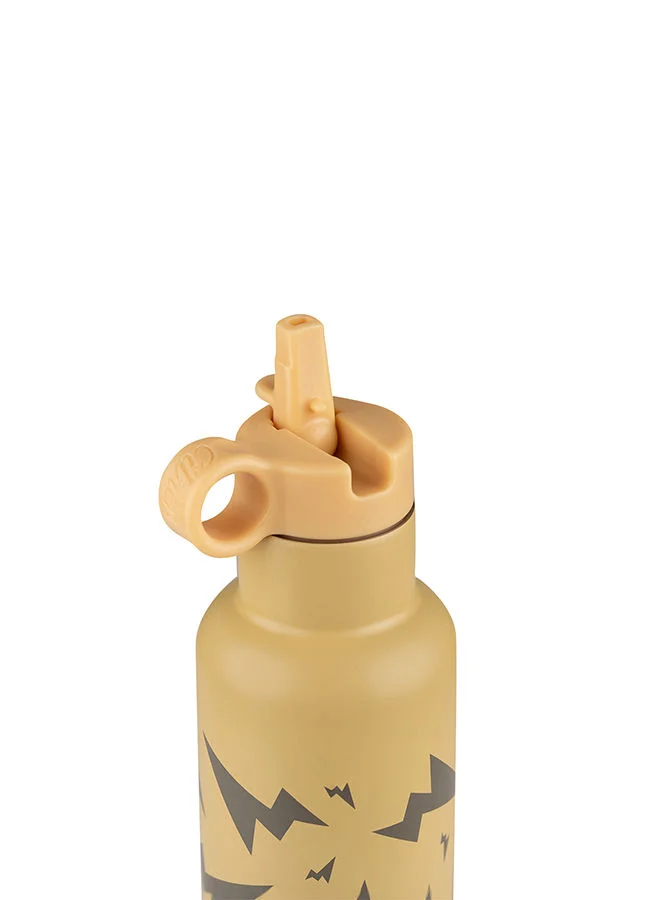 Citron SS Water Bottle 750 ML, Storm Yellow