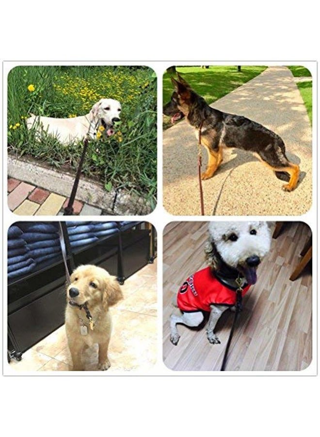 Highland Farms Select Premier 6ft Leather Dog Training Leash. Made from Leather and is a Great Option for Hunting Dogs or General Obedience in The Backyard.Christmas Dog Gifts - Image 5