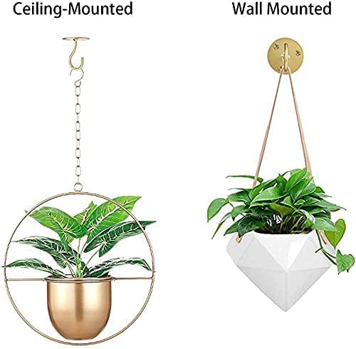 LangPu Ceiling Hooks for Hanging Plants-Metal Heavy Duty Wall Mounted Hangers for Hanging Bird Feeders, Planters, Wind Chimes, Include Professional Drywall Anchors (5 Pack) (Bright Gold) - Image 4