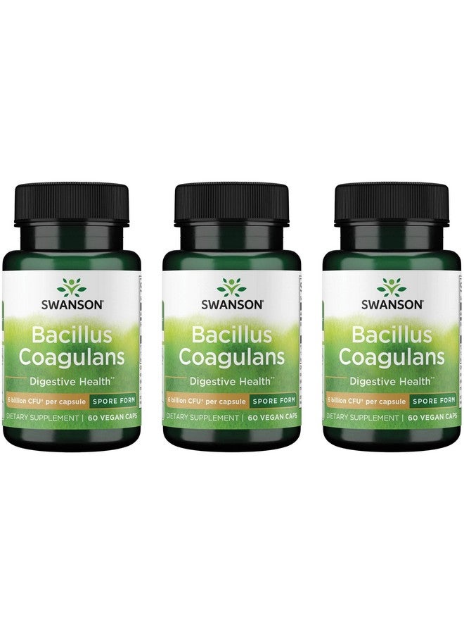 SWANSON سوانسون باسيلاس كواجلانز - مكمل بروبيوتيك طبيعي يدعم صحة الجهاز الهضمي مع 6 مليار وحدة تشكيل مستعمرات - قد يدعم صحة الجهاز الهضمي وصحة الأمعاء العامة - (60 كبسولة نباتية) (3 عبوات)
