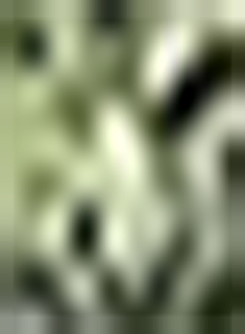 GGOOT 50pcs White Osmanthus seeds for Family Outdoor Gardening Planting Beautiful Bouquet Rural Scenery Suitable for Beginners Novice Gardeners Low Maintenance - Image 1