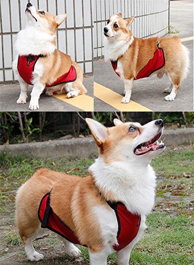 Kelendle Warm Pet Belly Vest - Waterproof Dog Belly Cover & Protector Harness for Short Leg Female Dogs & Puppies - Image 3