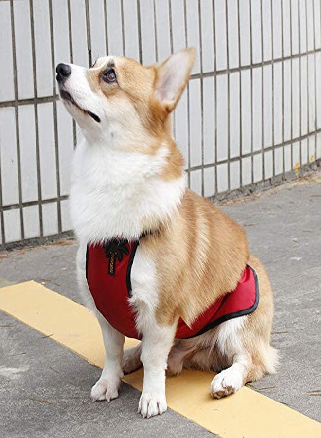 Kelendle Warm Pet Belly Vest - Waterproof Dog Belly Cover & Protector Harness for Short Leg Female Dogs & Puppies - Image 2