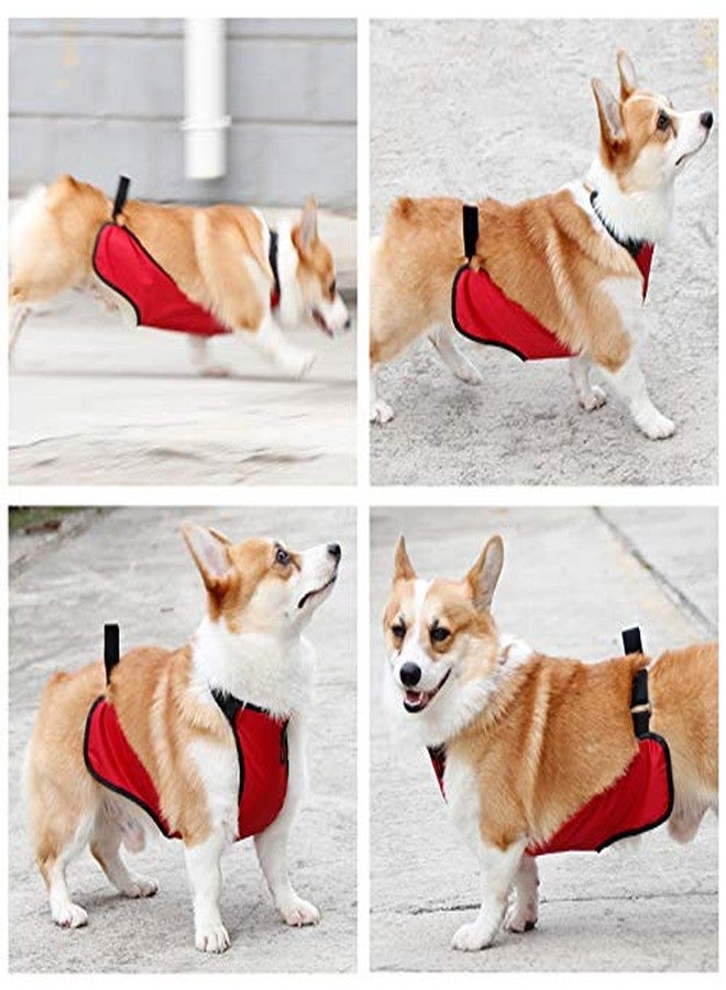 Kelendle Warm Pet Belly Vest - Waterproof Dog Belly Cover & Protector Harness for Short Leg Female Dogs & Puppies - Image 4