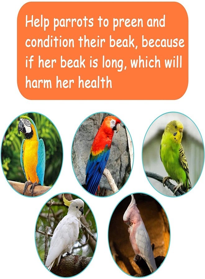 Kikerike Parrot Chewing Toy Bird Bite Toy with Colorful Wood Beads, Multicolored Natural Wooden Block Cage Toys for Macaw Cockatoo Parakeets - Image 4