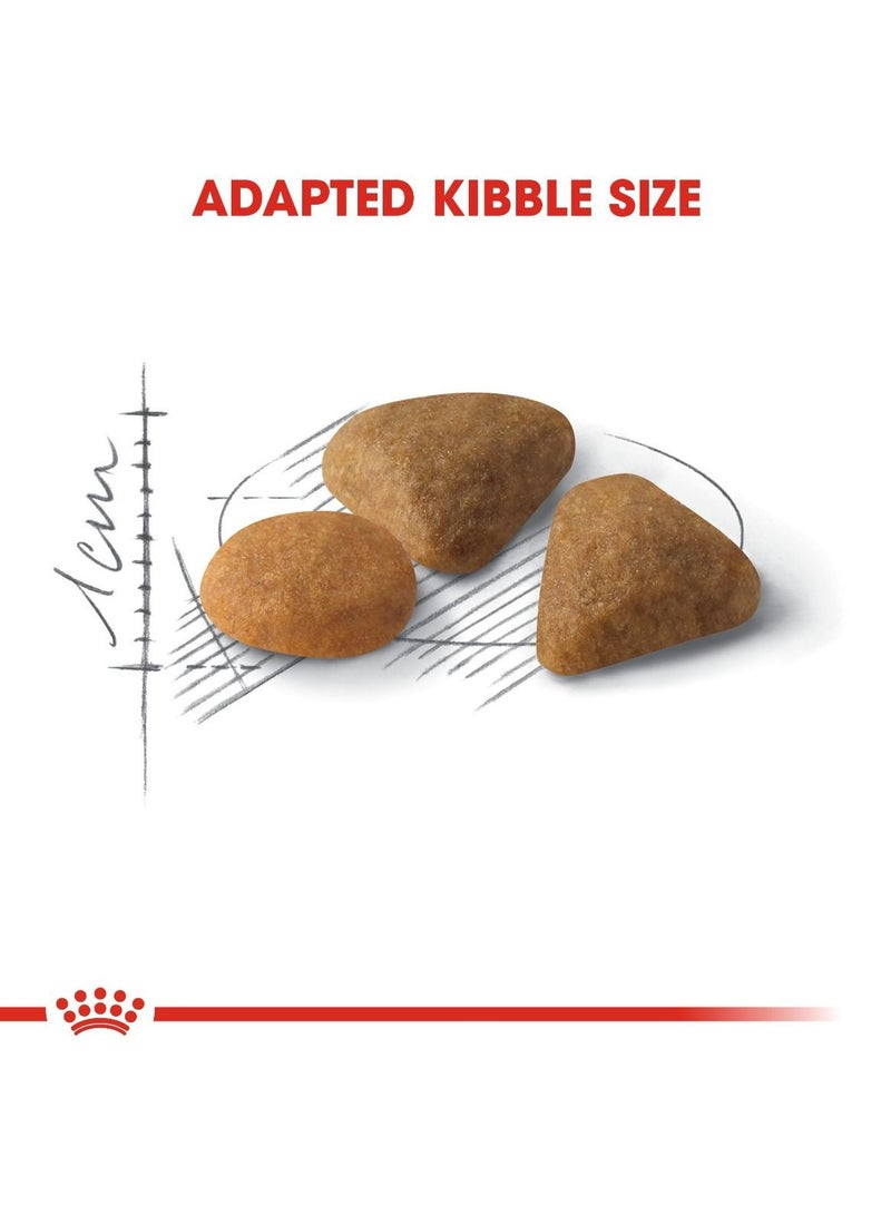 Royal Canin Feline Health Nutrition Exigent Savour 2 KG - Image 4