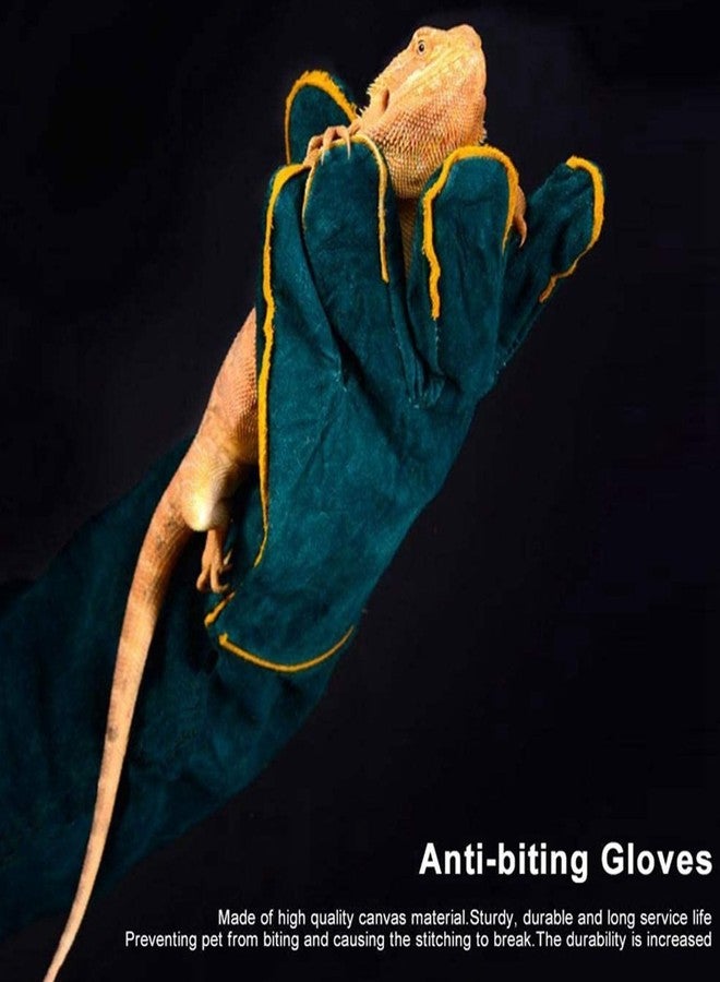 Fockety Animal Handling Gloves Bite Proof, 60CM Thickening Anti Scratch Long Gloves for Bathing Grooming Welding Dog Cat Bird Lizard - Image 4