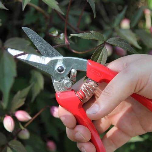 ARS Cut above the rest Pruning shears -140DX 12mm - Image 4