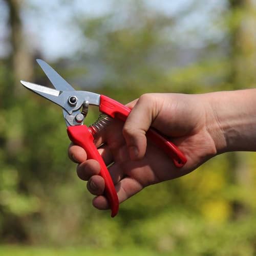 ARS Cut above the rest Pruning shears -140DX 12mm - Image 3