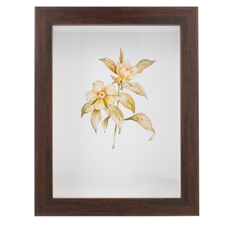 Dried Flower Shadow Box, Decorative Display Case for Art Crafts and Photos - Image 1