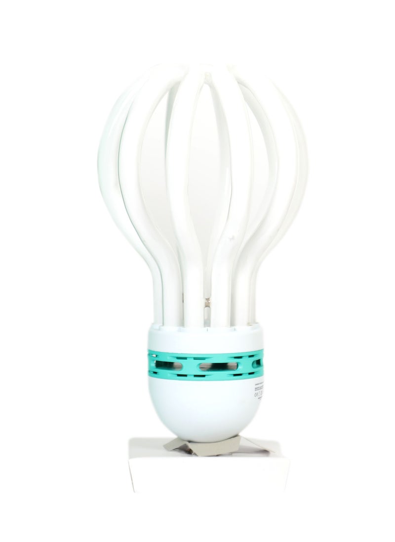 Energy Saving  Lamp