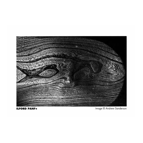 Ilford PAN F Plus, Black and White Print Film, 135 (35 mm), ISO 50, 36 Exposures 2-Pack - Image 5