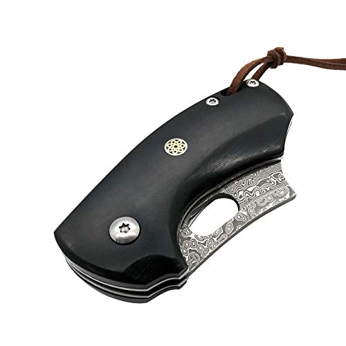 ALBATROSS Premium Folding Pocket Knife - EDC Mini VG10 Damascus Steel with 2" Blade - Ebony Wood Handle - Compact Outdoor Camping Knife with Gift Box - HGDK024 - Image 3
