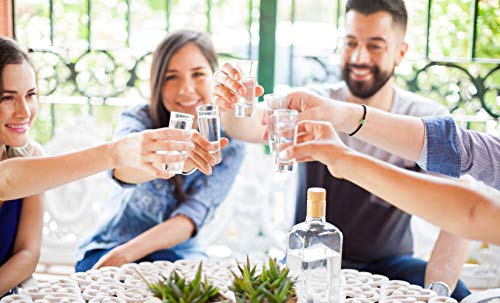 Lillian Rose Set of 4 Tall Shot Glasses, 4 Count (Pack of 1), Clear, 2.25 ounces - Image 5