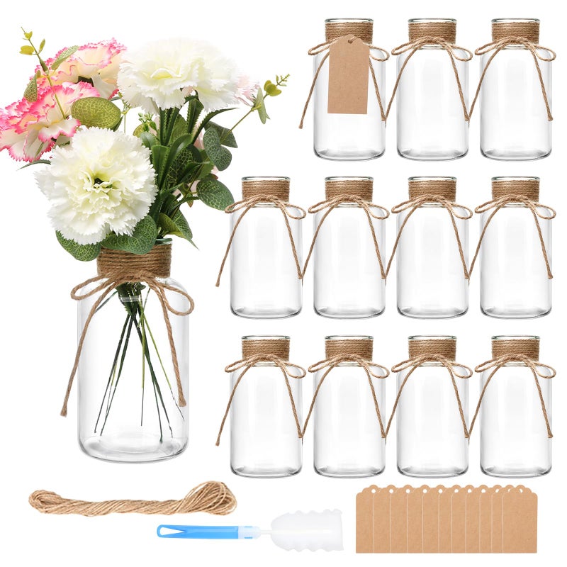 Brajttt 12 Pack Glass Flower Vases with Rope,Brajttt Vintage Bud Vases in Bulk,Mason Jars for Centerpieces,Flower Vase for Centerpieces and Tag for Weddings,Home Decor & DIY Projects - Image 1