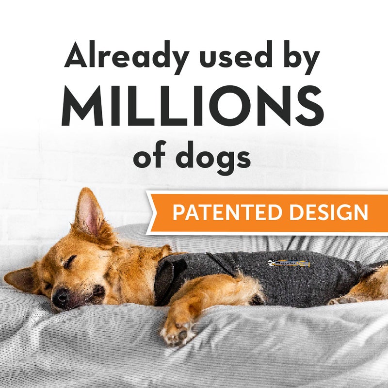 ThunderShirt for Dogs, Large, Heather Gray Classic - Dog Anxiety Relief Calming Vest - Image 2