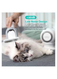 HOCC HOCC P1 Pro Pet Grooming Kit & Vacuum Suction 99% Pet Hair, Professional Grooming Clippers with 5 Proven Grooming Tools for Dogs Cats and Other Animals  - Image 4