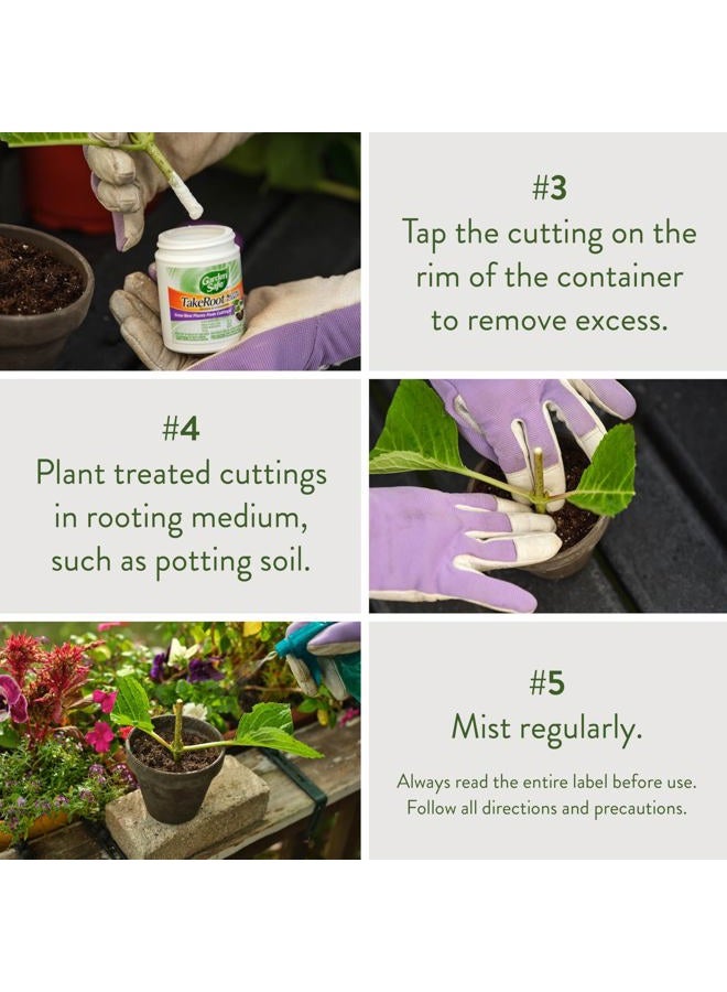 Garden Safe هرمون تجذير تاك روت، يعزز التجذير، ينمو نباتات جديدة من القصاصات، (12 عبوة) 2 أونصة - Image 5