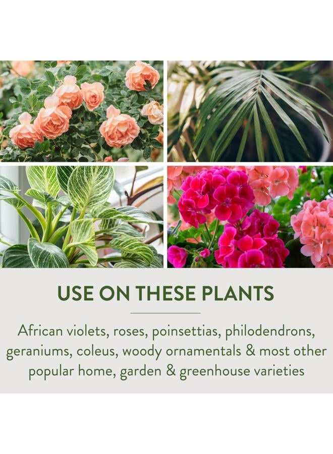 Garden Safe هرمون تجذير تاك روت، يعزز التجذير، ينمو نباتات جديدة من القصاصات، (12 عبوة) 2 أونصة - Image 3