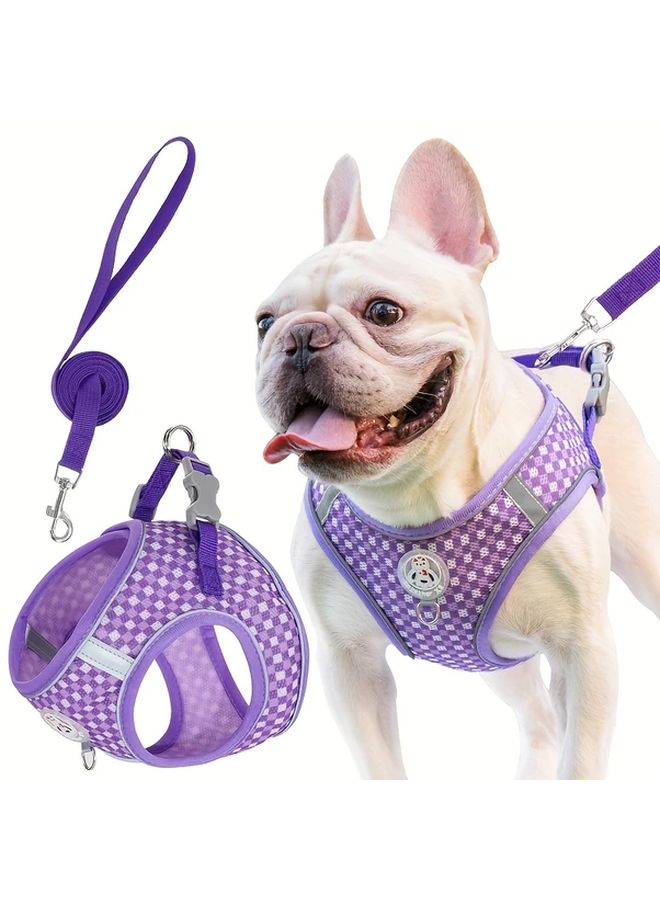 طوق الكلب الأسود المقاس XL ذو الشبكة القابلة للعكس والملامح القابلة للتنفس، مع المقود، رؤية ليلية بدون بطارية، وأشرطة قابلة للتعديل - Image 4