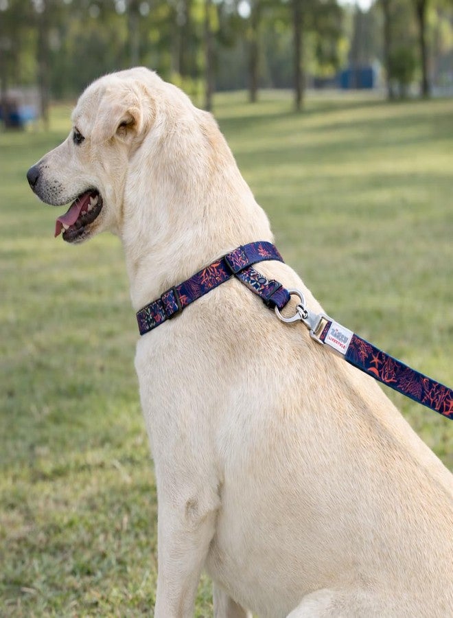 Zigly Lifestyle Tropical Blaze Adjustable Dog Collar for Medium Dogs | Durable Polyester Pet Collar with Secure Metal D-Ring | Comfortable Everyday Walking Collar for Daily Use | Medium - Image 5