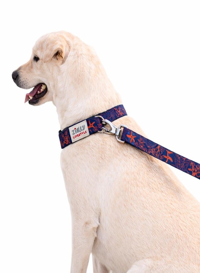 Zigly Lifestyle Tropical Blaze Adjustable Dog Collar for Medium Dogs | Durable Polyester Pet Collar with Secure Metal D-Ring | Comfortable Everyday Walking Collar for Daily Use | Medium - Image 1