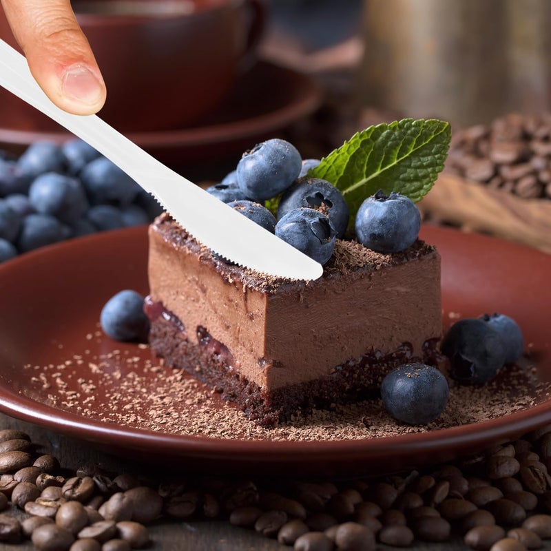 CXPSINC Knife Fork Spoon Napkin Salt Pepper Sets Individually Wrapped Black Plastic Cutlery Packets for Delivery Cafeterias Restaurants 100 PackWhite - Image 4