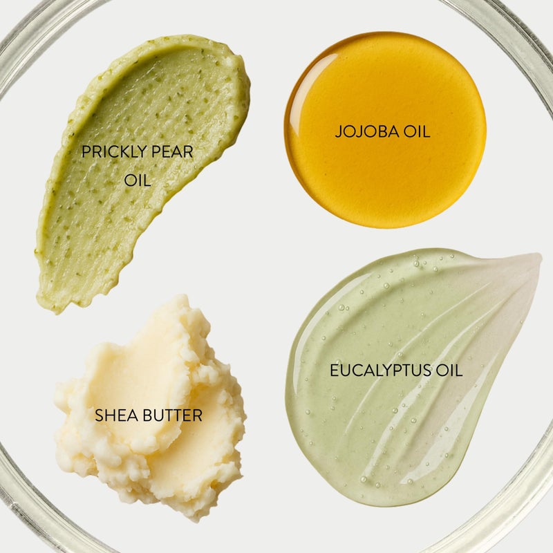 Nurse Jamie FormuL.A. Cream Cleanser â€“ Hydrating & Anti-Aging Cleanser with Peptides, Prickly Pear & Shea Butter for Soft, Radiant Skin (4 oz) - Image 2