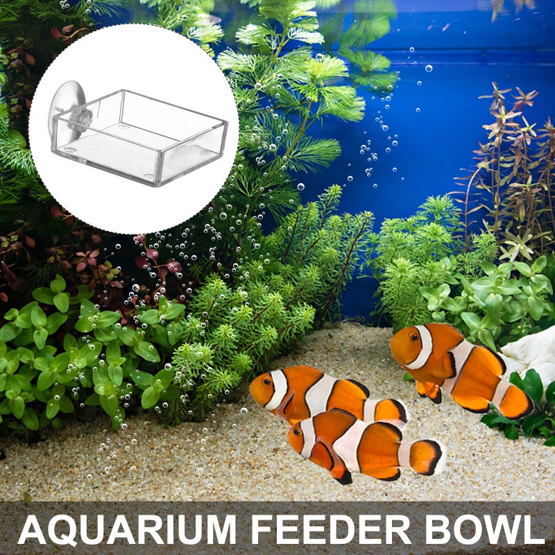 5Pcs Aquarium Feeding Device Shrimp Feeder Fish Feeder with Cup - Image 2